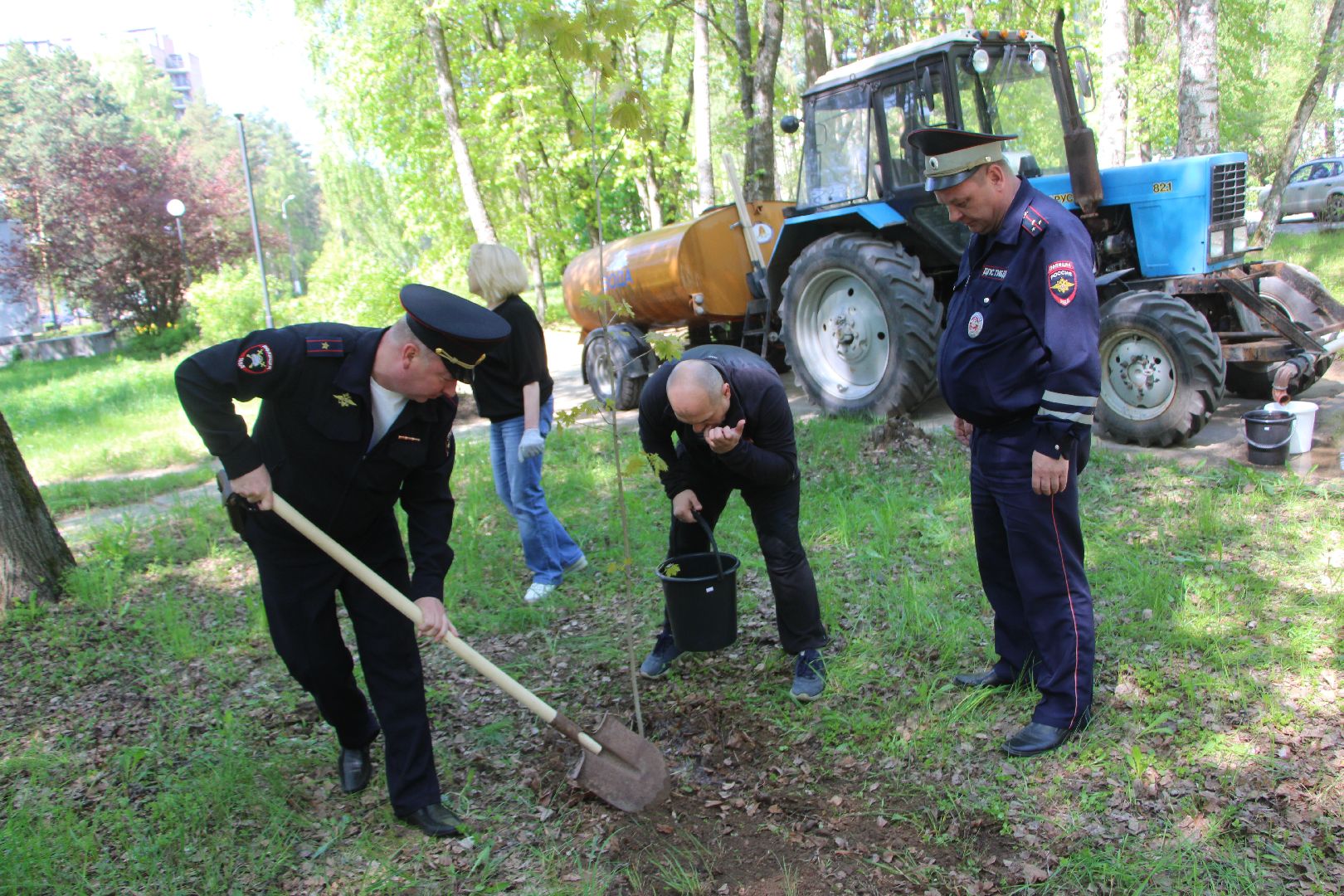Лес Победы, клены, Протвино, акция, озеленение, экология