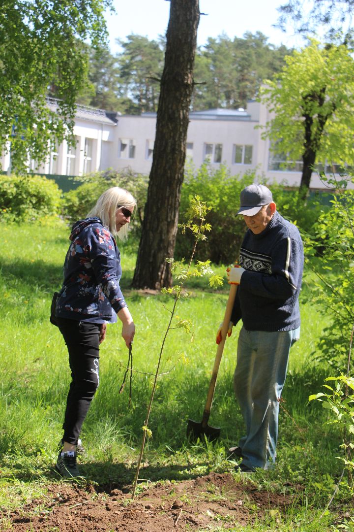 Лес Победы, клены, Протвино, акция, озеленение, экология