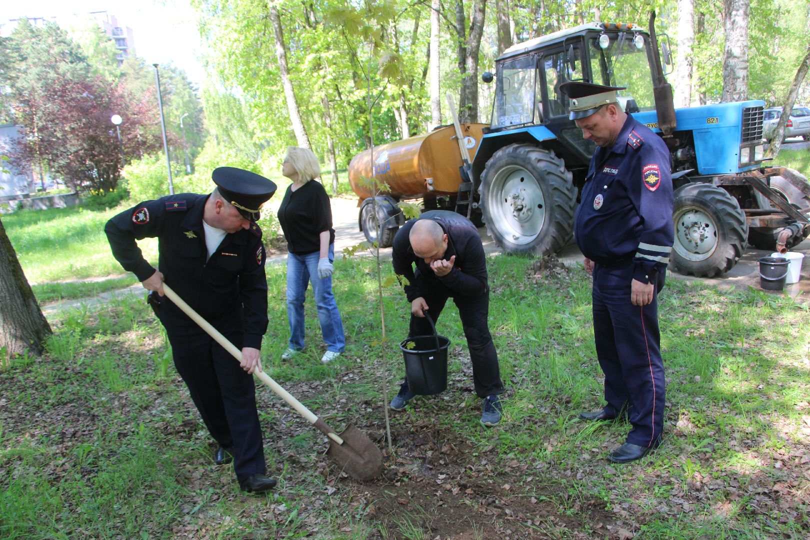 Лес Победы, клены, Протвино, акция, озеленение, экология