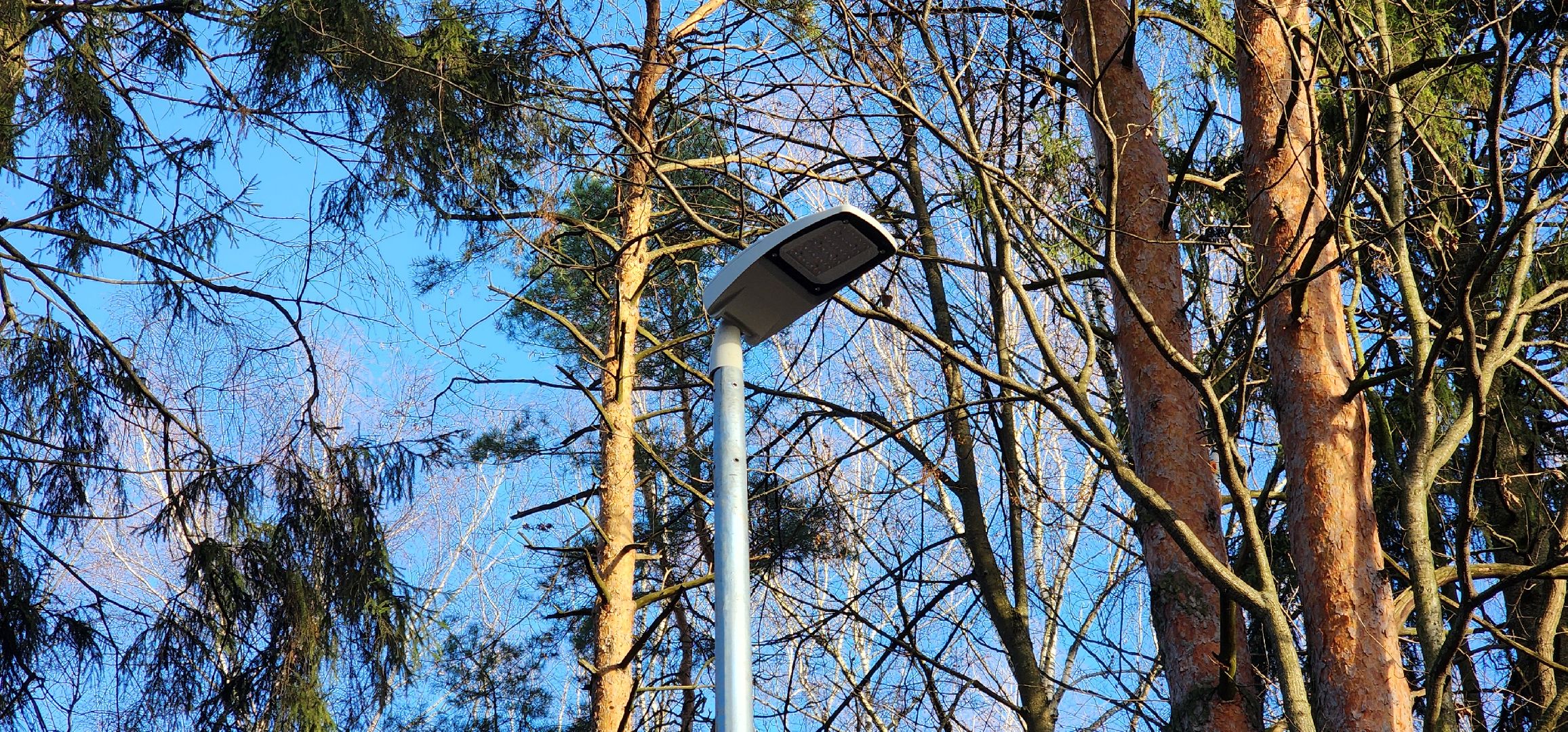 Химки , Благоустройство , Парки,Безопасный регион ,