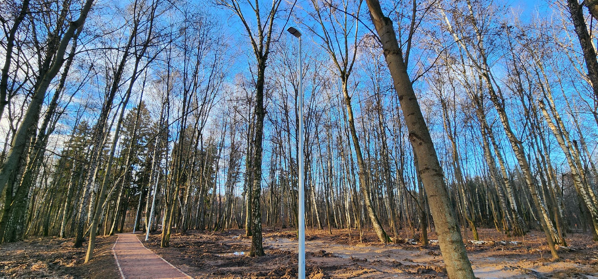 Химки , Благоустройство , Парки,Безопасный регион ,