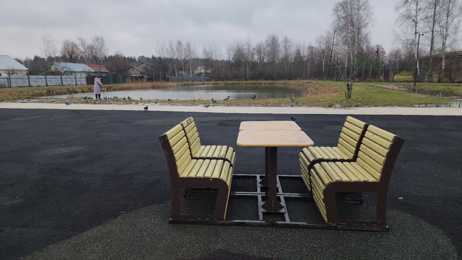 белки в парке, ликино-дулево, орехово-зуевский округ,