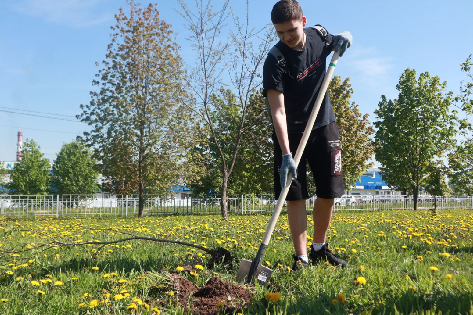 Пущино, Лес Победы, экология