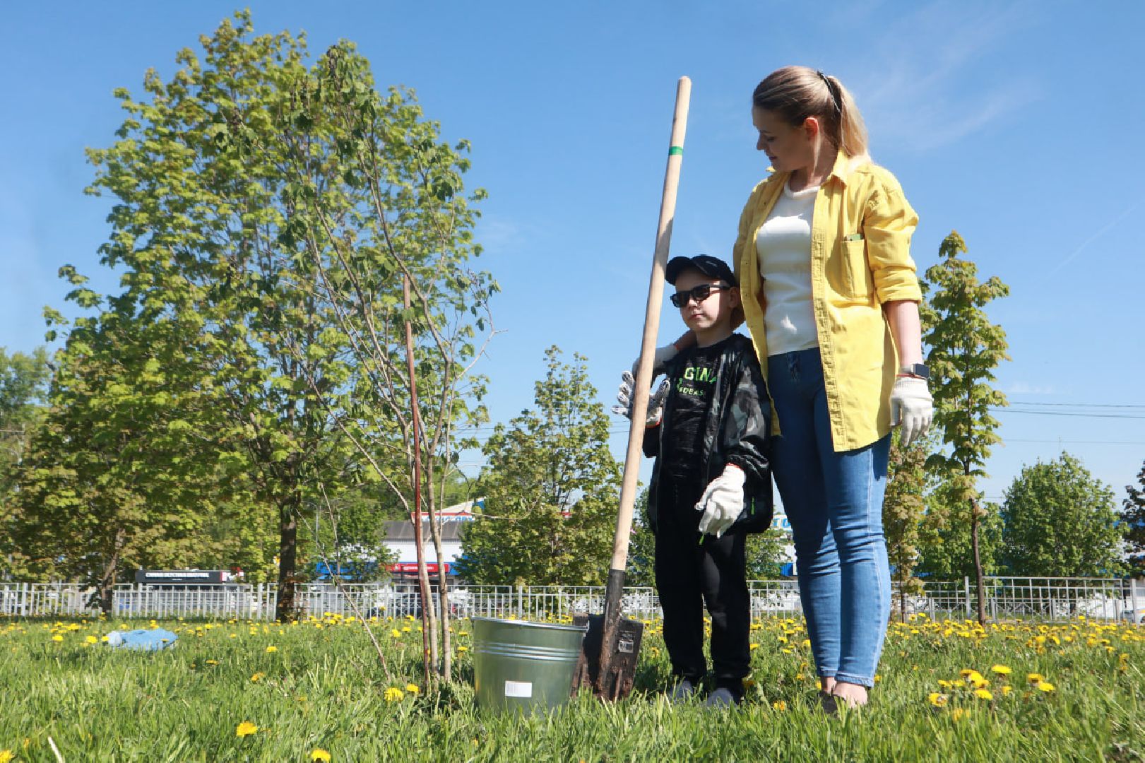 Пущино, Лес Победы, экология