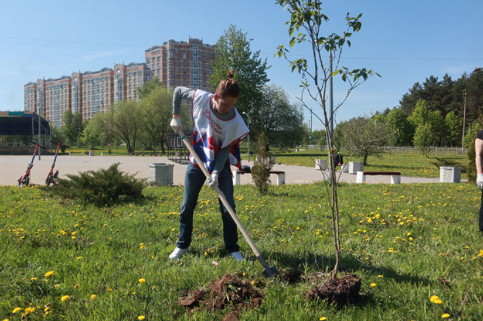 Пущино, Лес Победы, экология