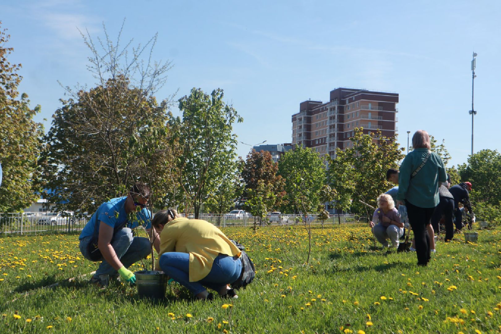 Пущино, Лес Победы, экология