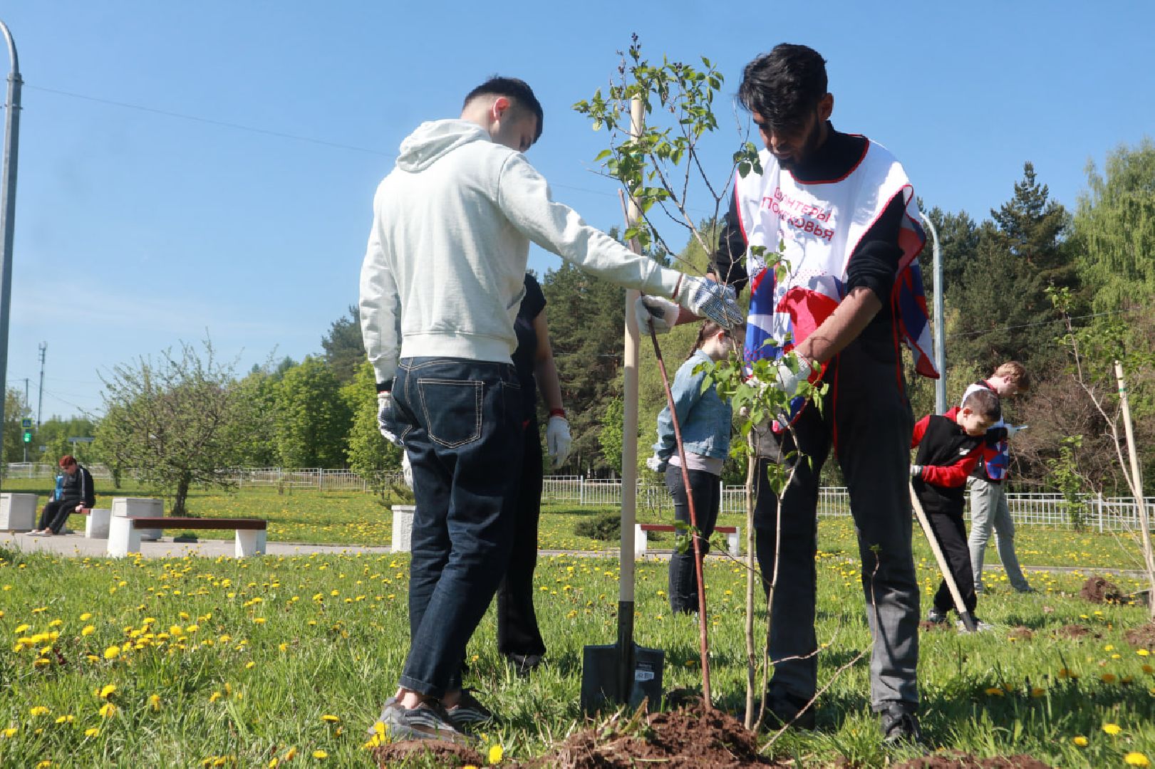 Пущино, Лес Победы, экология