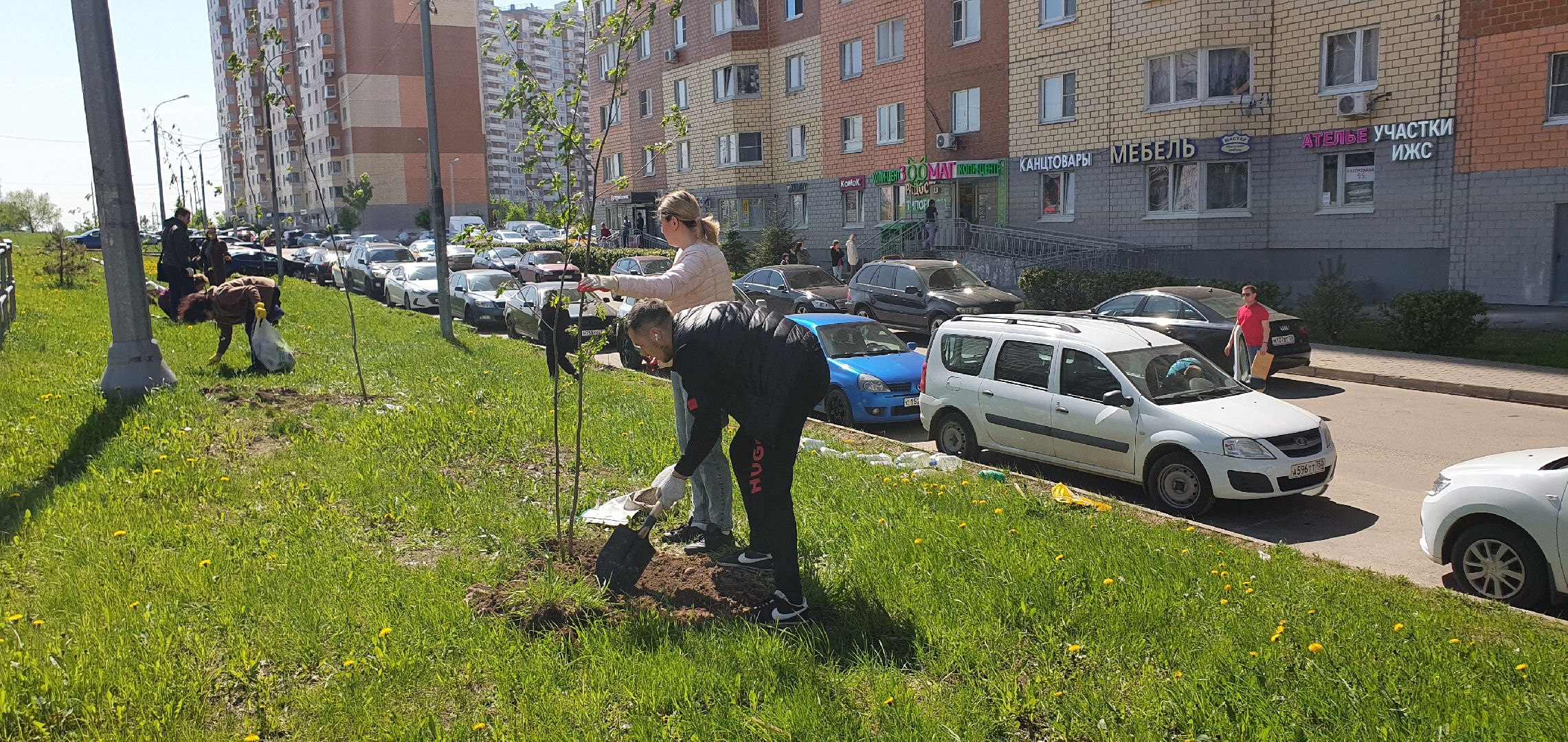 Лес Победы, Домодедово, акция