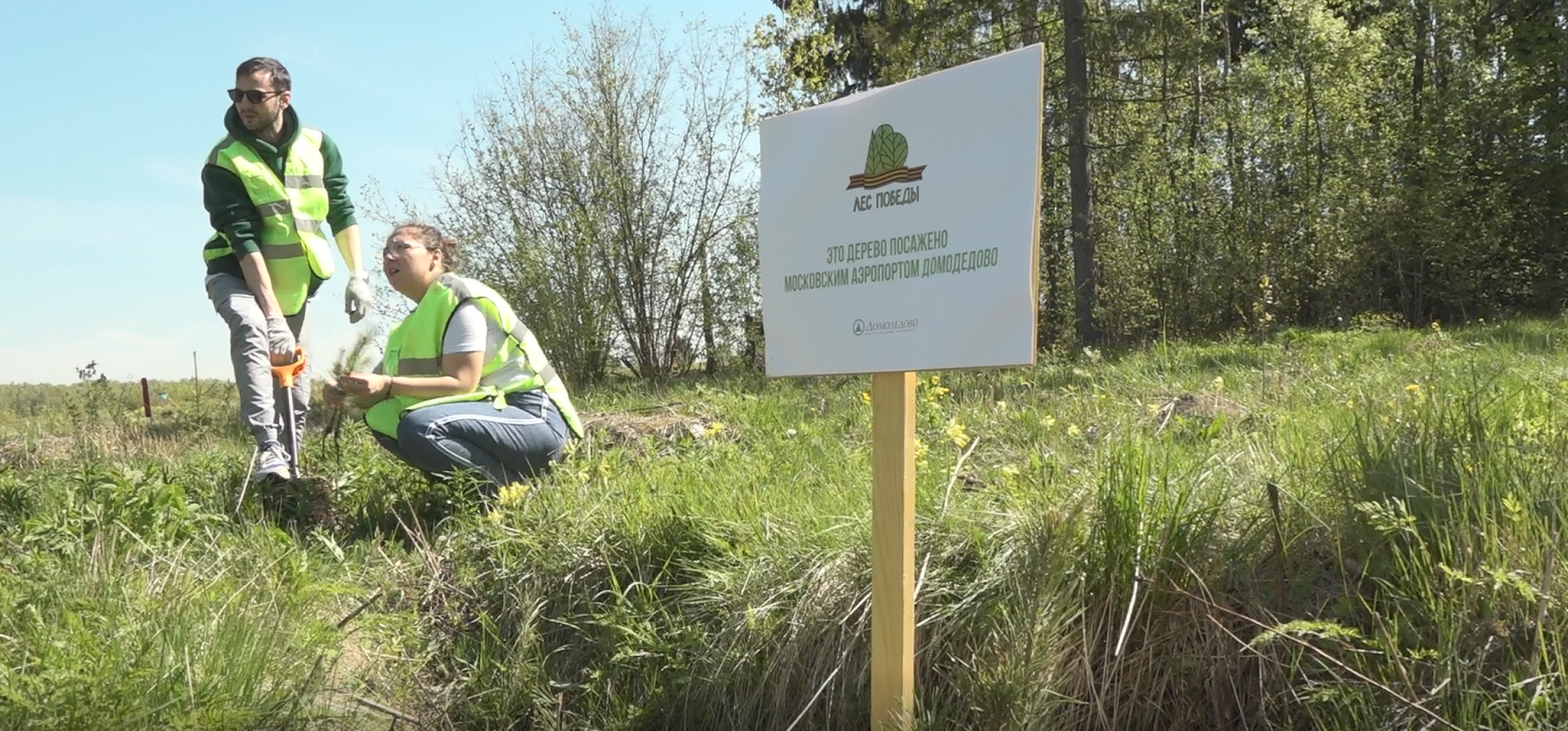 Лес Победы, Домодедово, акция