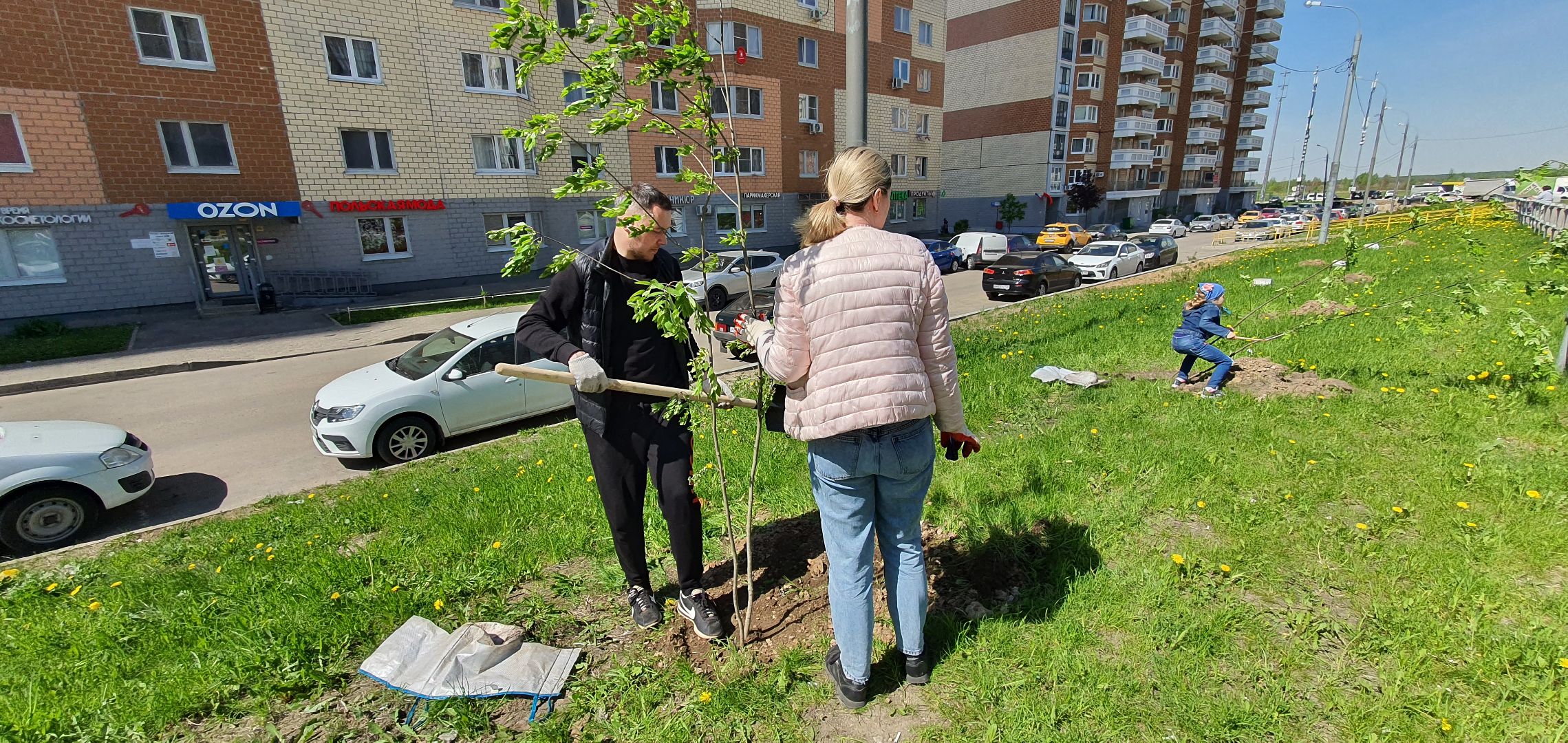 Лес Победы, Домодедово, акция