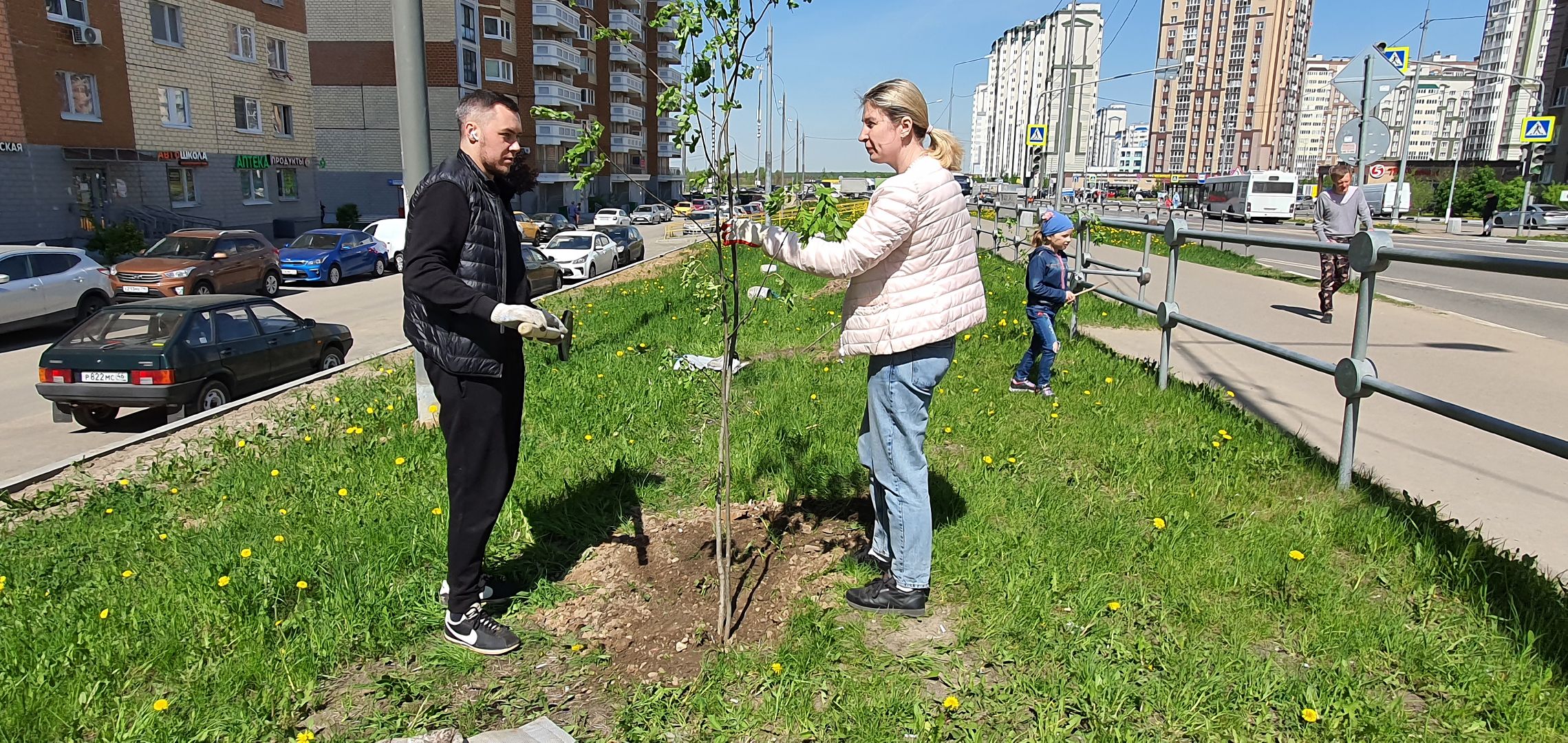 Лес Победы, Домодедово, акция