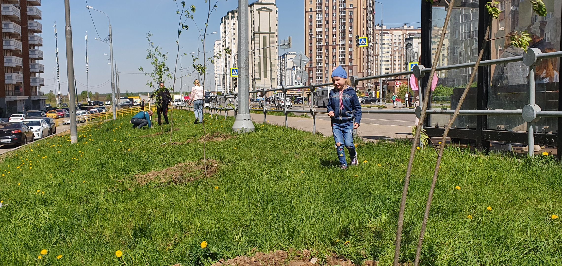 Лес Победы, Домодедово, акция