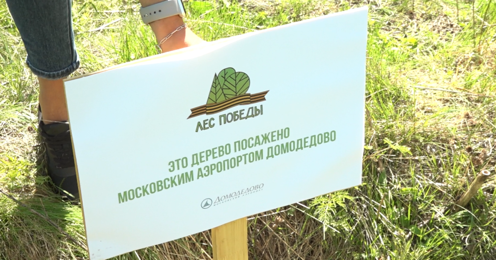 Лес Победы, Домодедово, акция