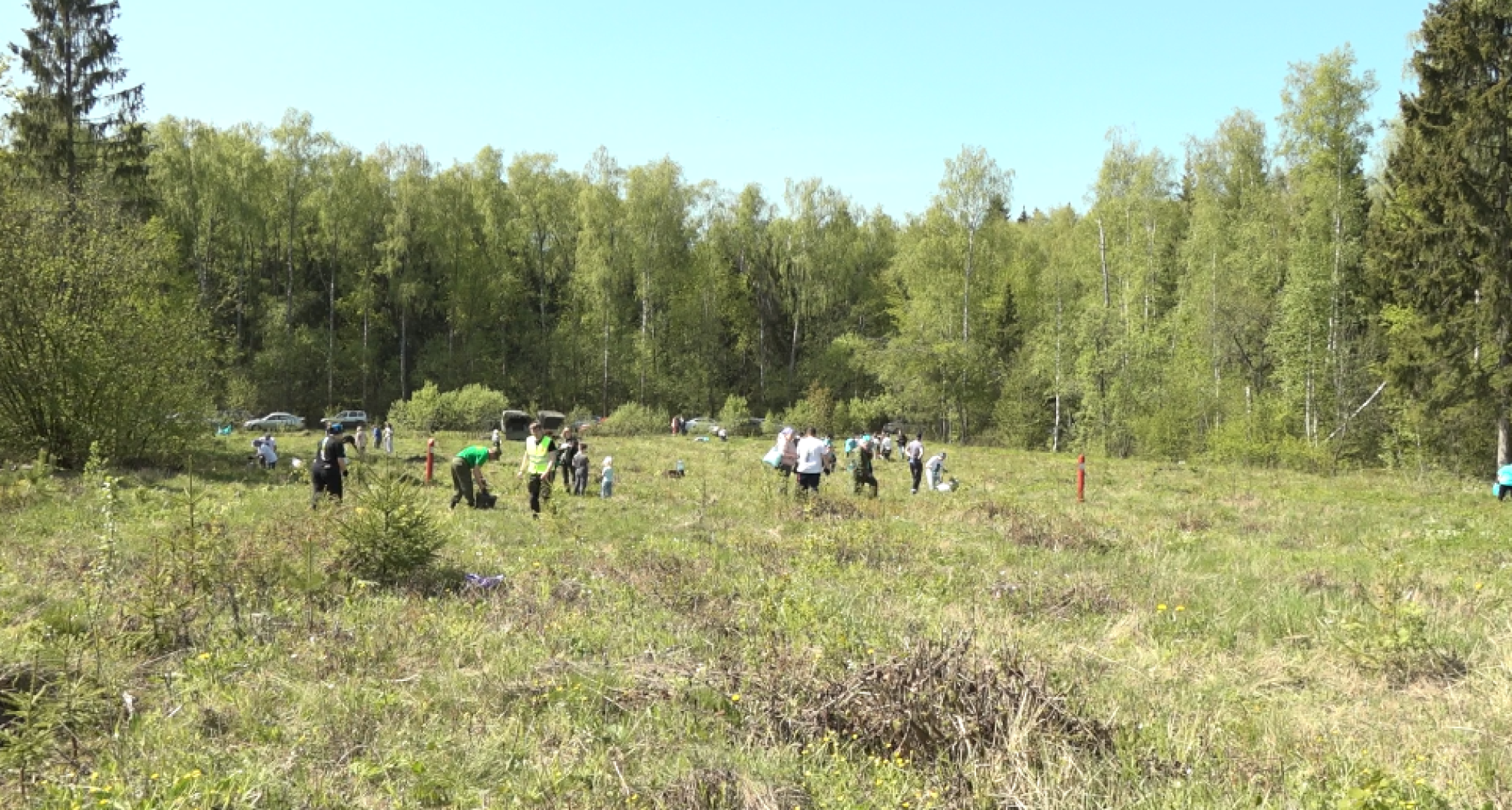 Лес Победы, Домодедово, акция