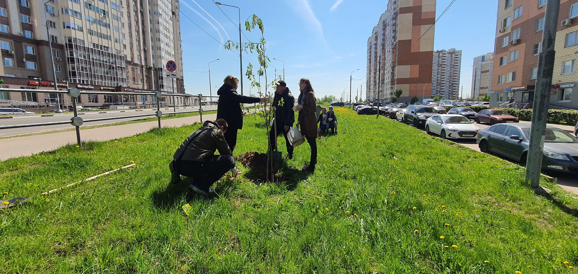Лес Победы, Домодедово, акция