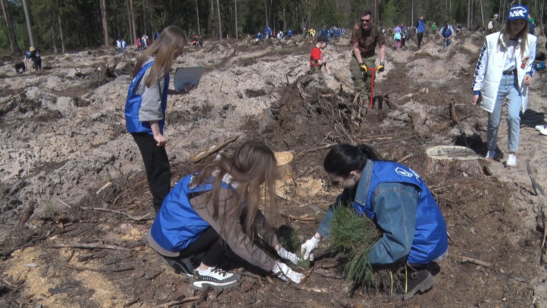Лес Победы, акция, Орехово-Зуево, Заголовацкий, Коркин, посадка леса