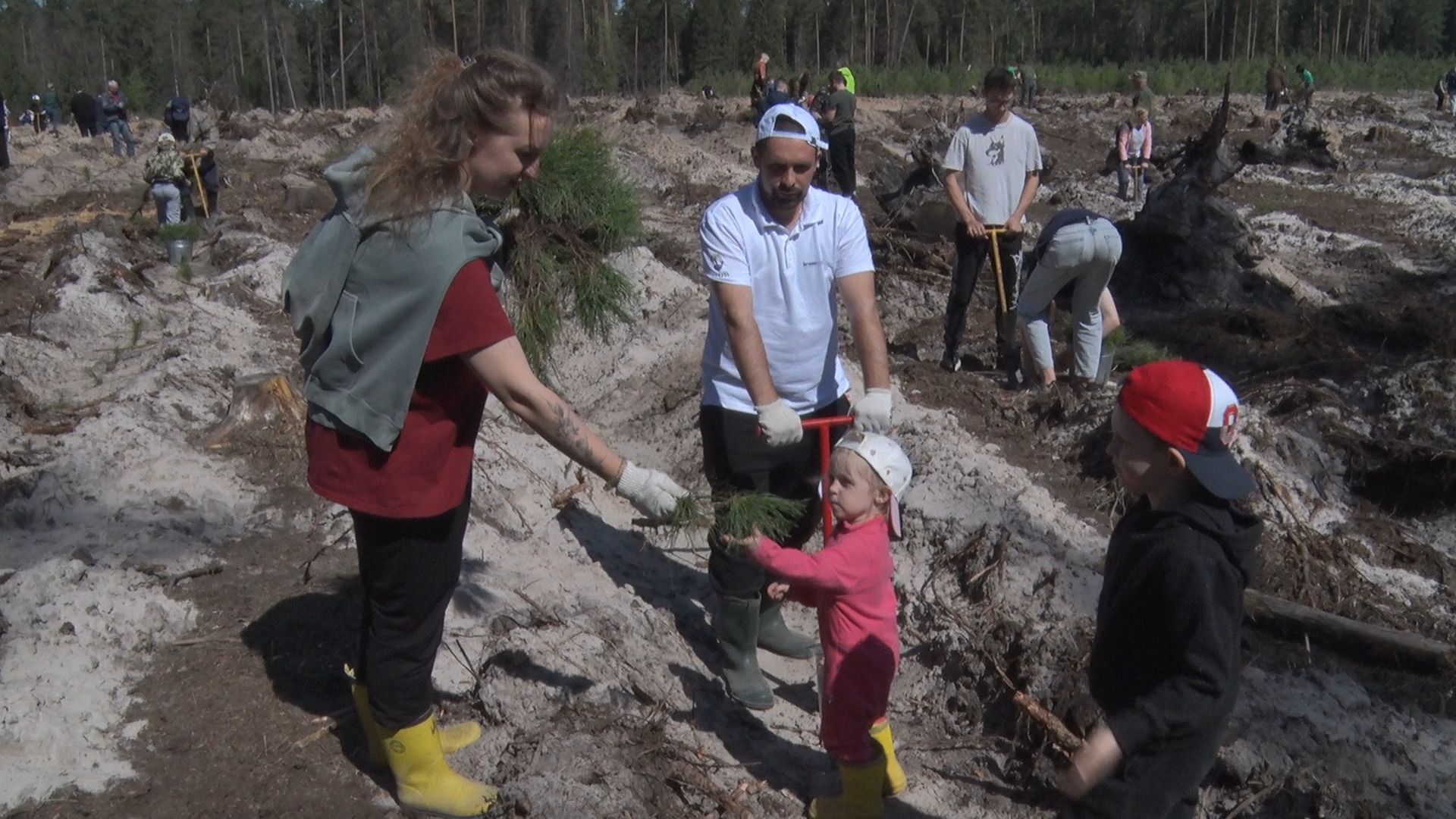 Лес Победы, акция, Орехово-Зуево, Заголовацкий, Коркин, посадка леса