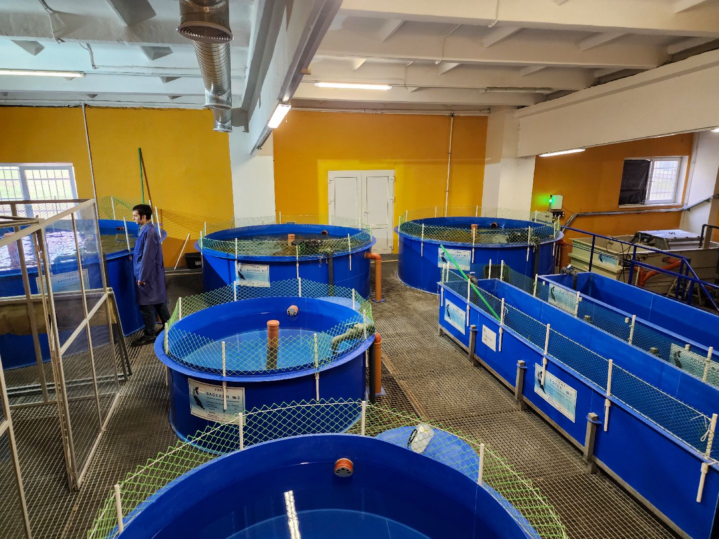 Подольск, виж имени эрнста, Осетр, Рыбы, Наука, Ученый, Премия,