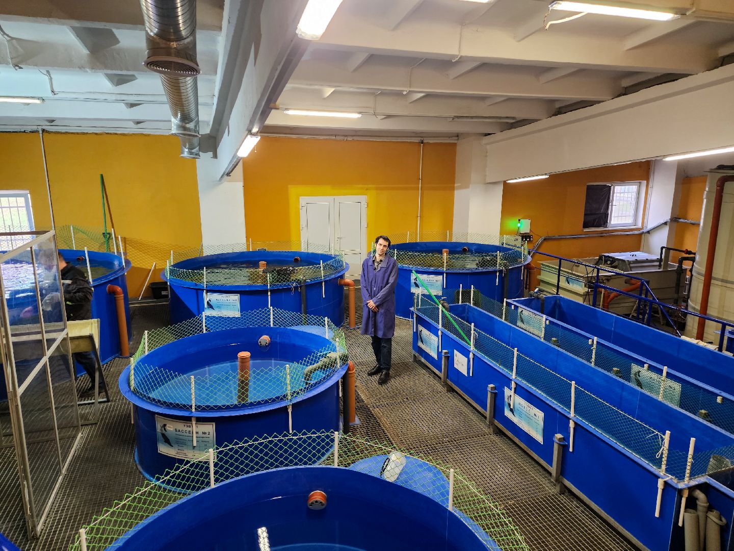 Подольск, виж имени эрнста, Осетр, Рыбы, Наука, Ученый, Премия,