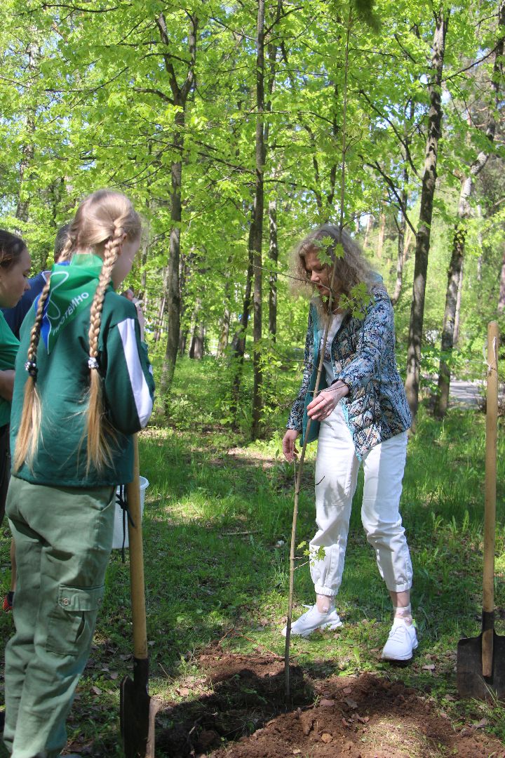Протвино, Лес Победы, экология, благоустройство, дети