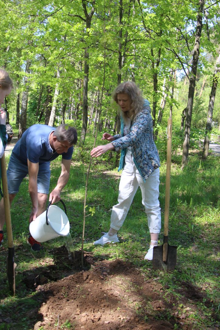 Протвино, Лес Победы, экология, благоустройство, дети