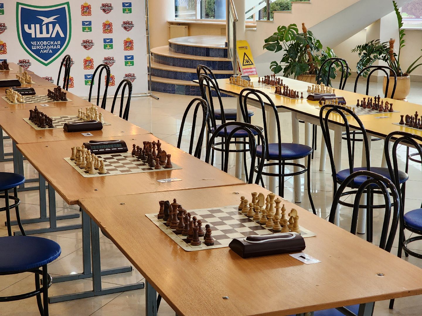 чехов,  соревнования, быстрые шахматы, первый этап, чеховская школьная лига, федерация шахмат чехова, евгений рябинин, главный судья елизавета крылова, единая школьная лига московской области, инициатива губернатора подмосковья, спортивные состязания,