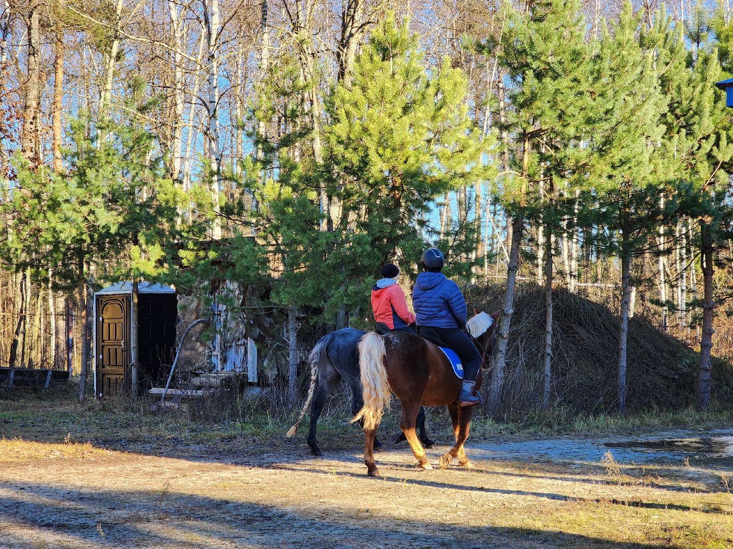 ногинск, мамонтово, конный клуб, лощади, дети,
