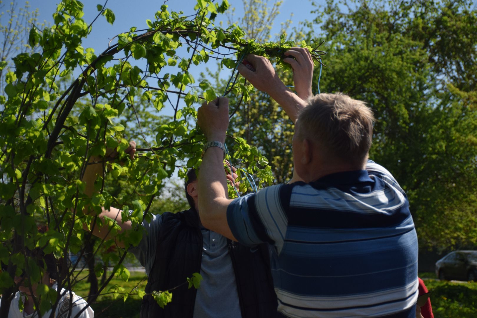 Павловский Посад, городской округ Павловский Посад, Лес Победы, акция, деревья