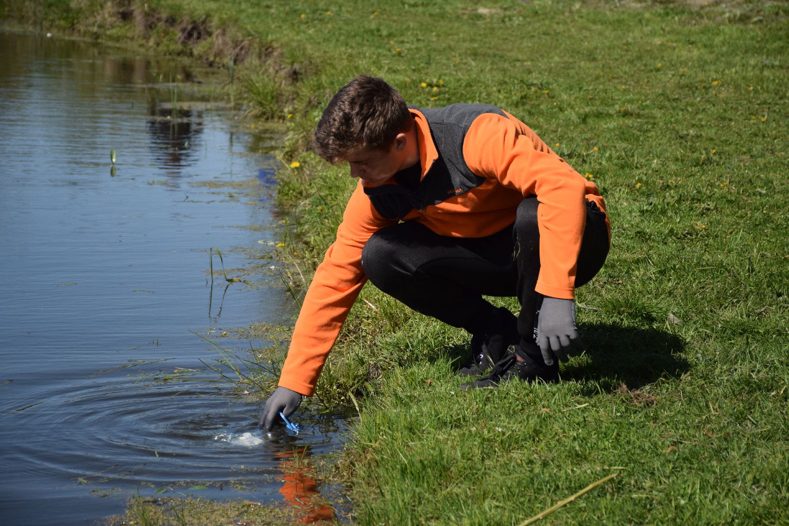 Павловский Посад, городской округ Павловский Посад, Лес Победы, акция, деревья