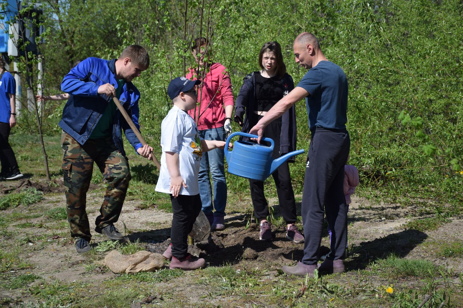 Павловский Посад, городской округ Павловский Посад, Лес Победы, акция, деревья