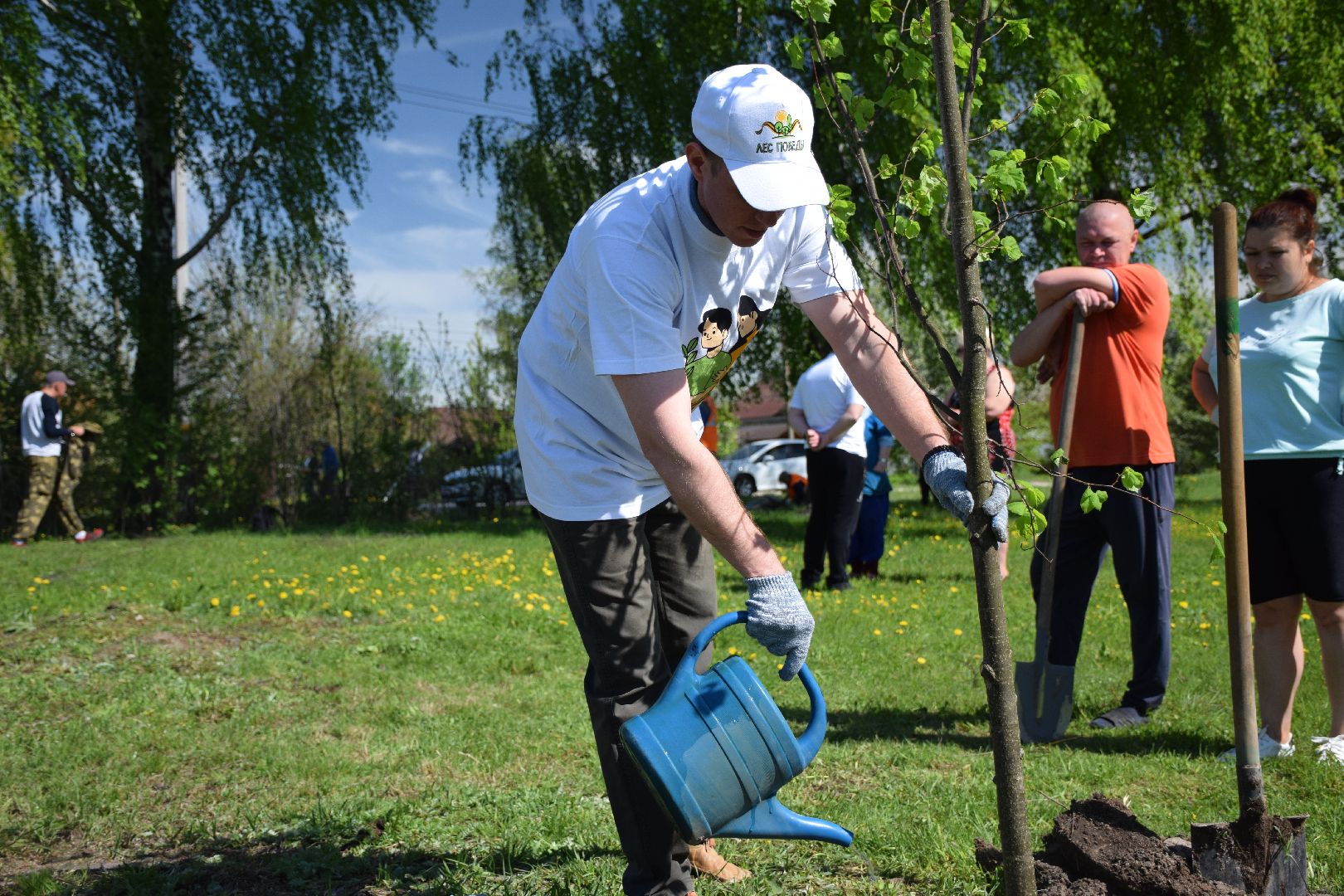 Павловский Посад, городской округ Павловский Посад, Лес Победы, акция, деревья