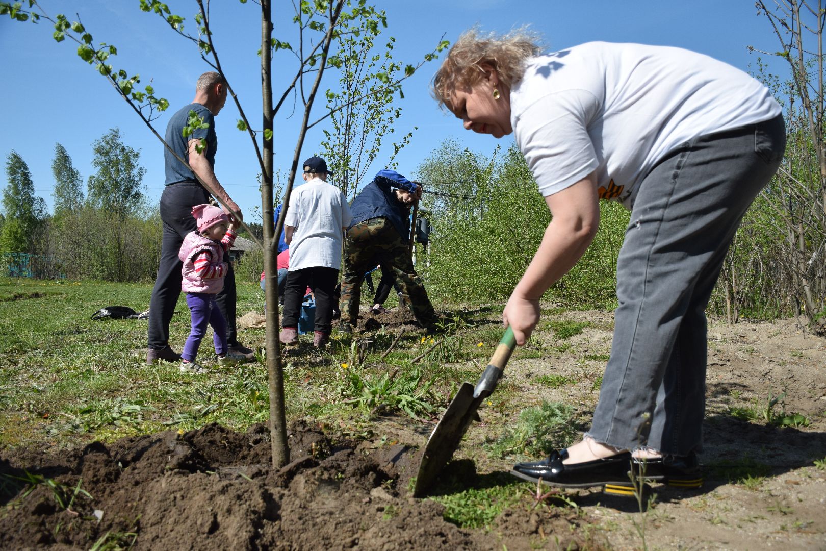 Павловский Посад, городской округ Павловский Посад, Лес Победы, акция, деревья