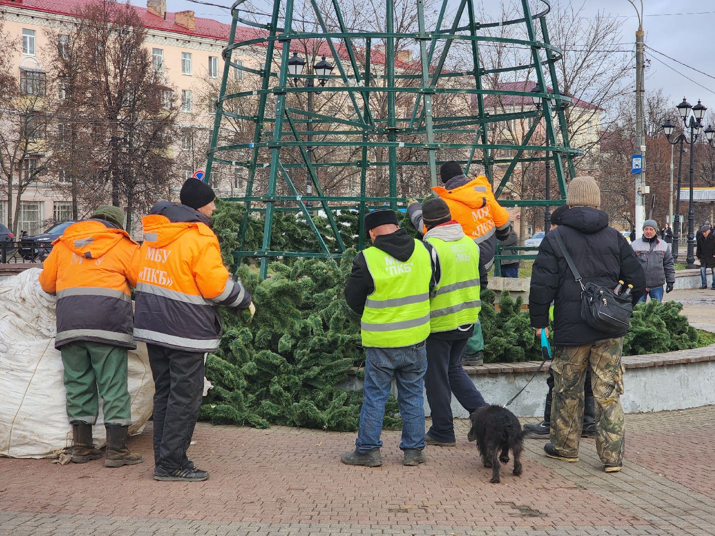 Подольск , новогодняя ель, установка елки,