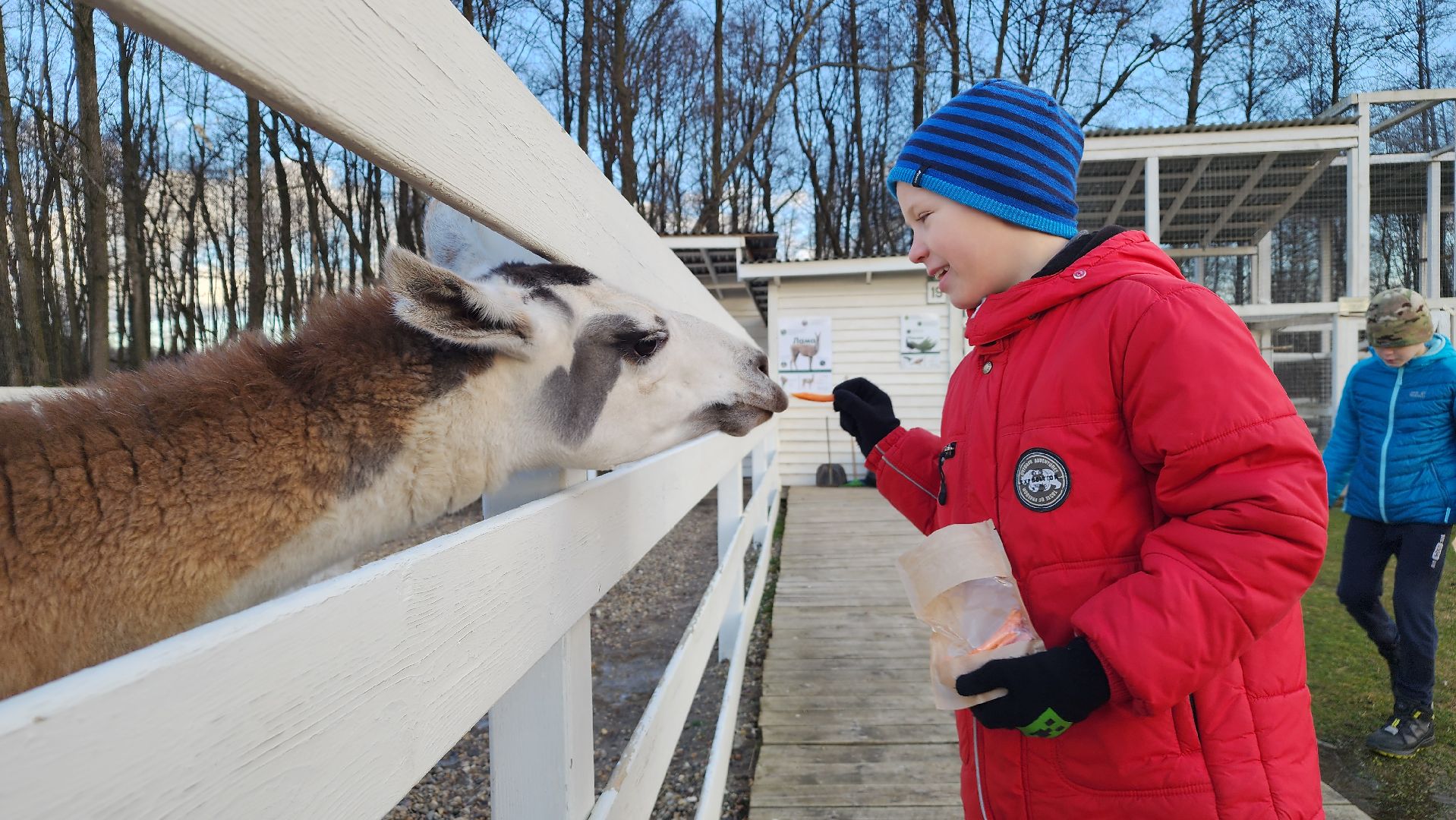 семьи сво, дети, лосино-петровский,