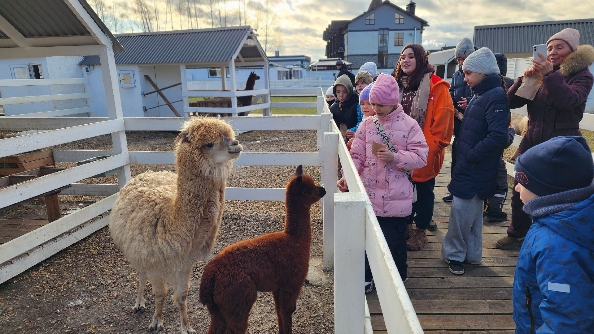 семьи сво, дети, лосино-петровский,