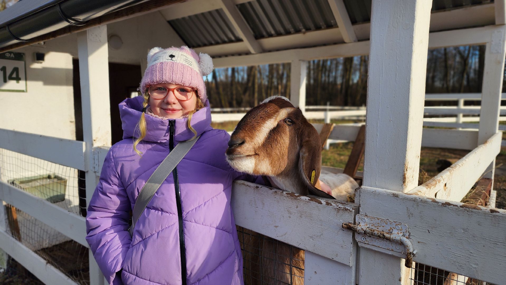 семьи сво, дети, лосино-петровский,