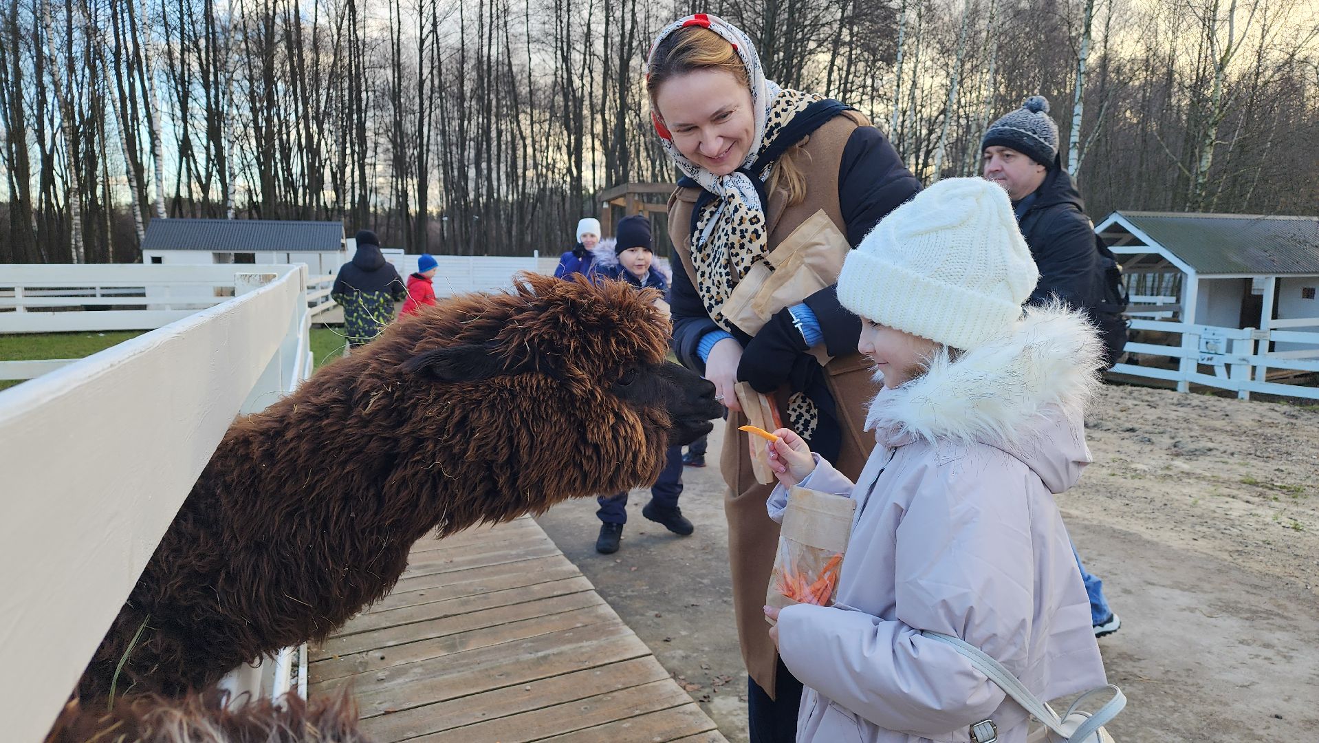 семьи сво, дети, лосино-петровский,