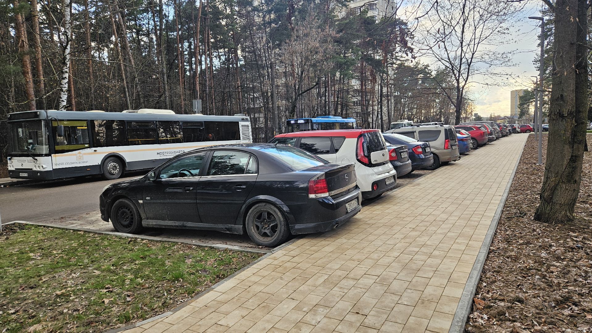 сквер, благоустройство, жуковский,