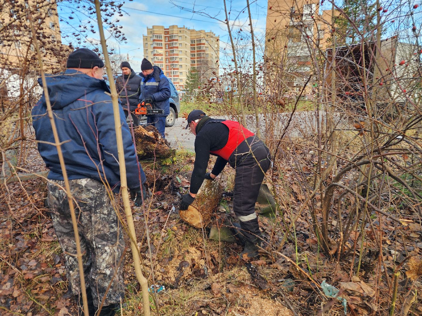 фрязино, удаление аварийных деревьев, мбу городское хозяйство, последствия непогоды,