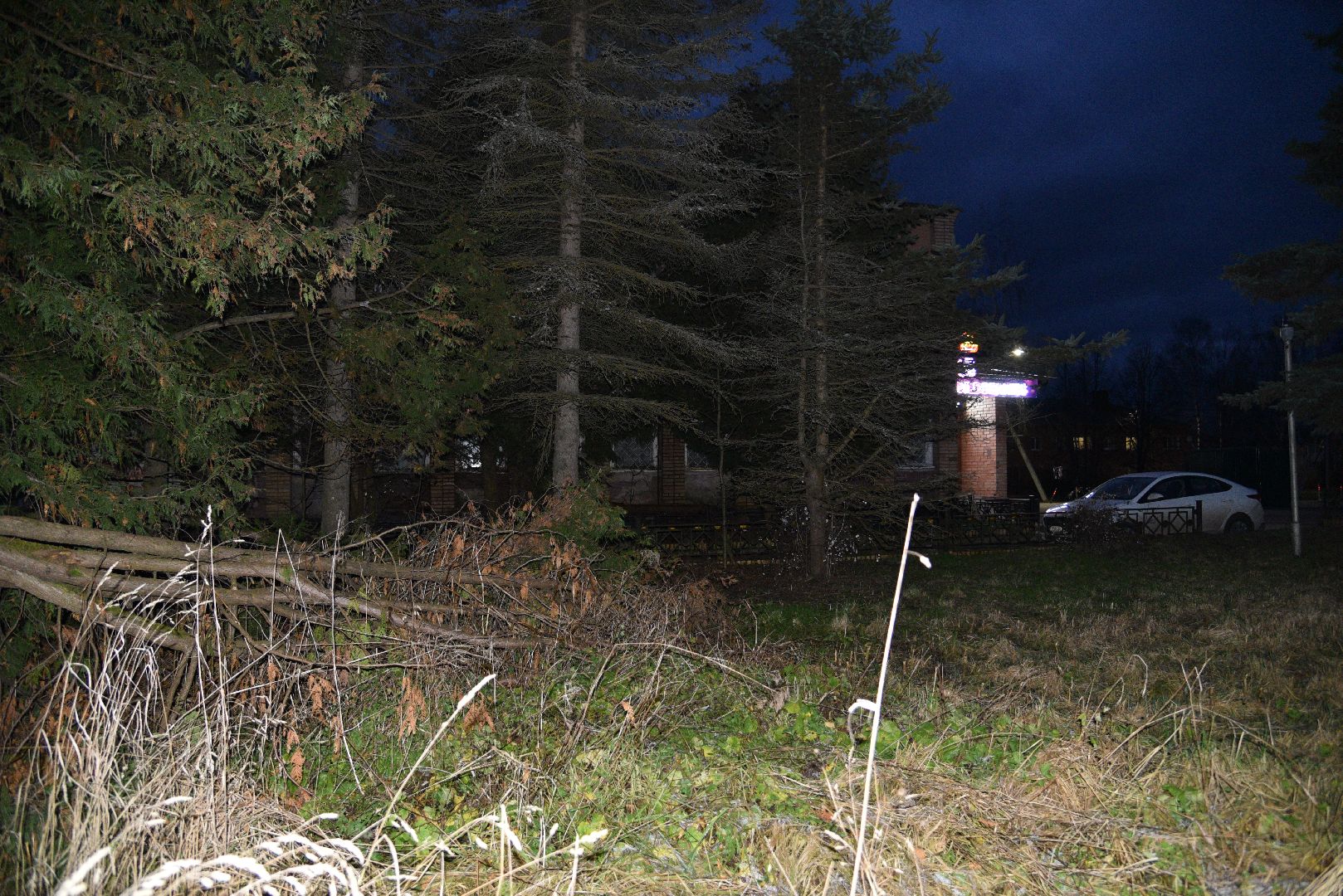 лотошино, выездная администрация, упавшие деревья, благоустройство,