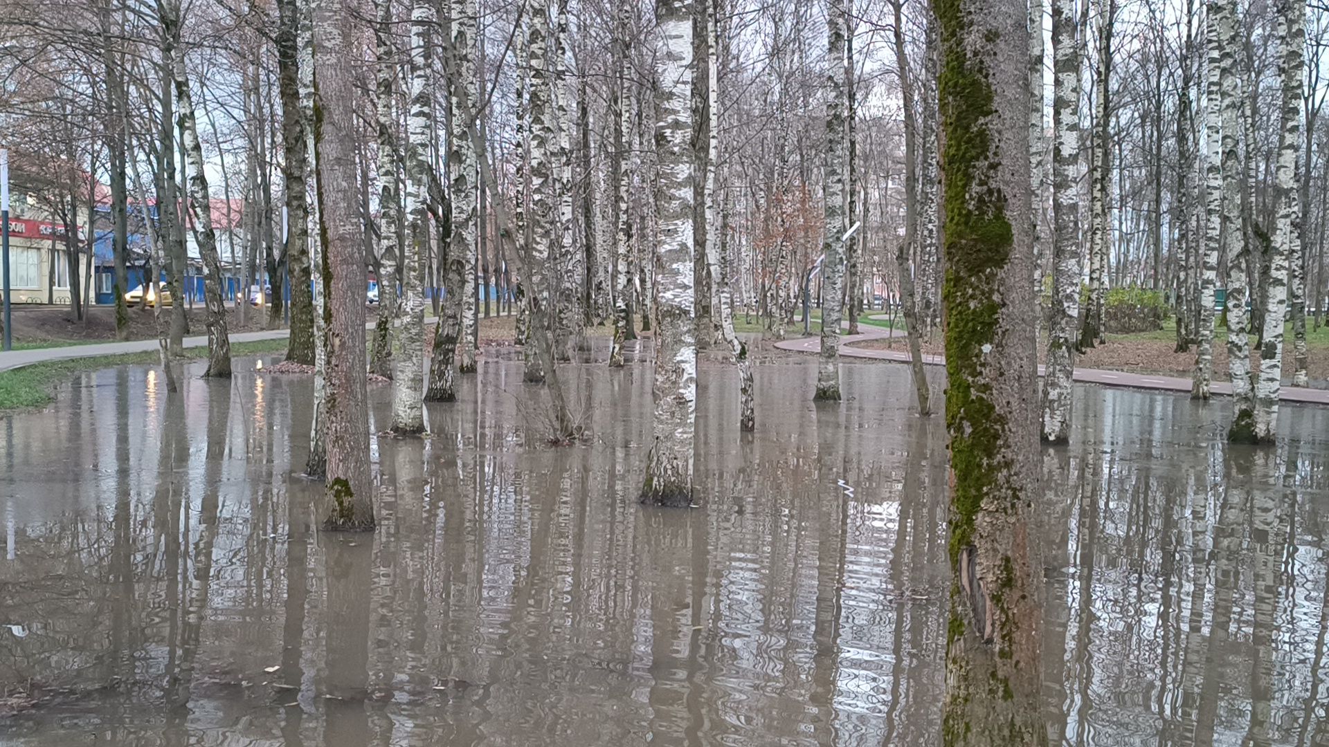 парк, вода, жкх,