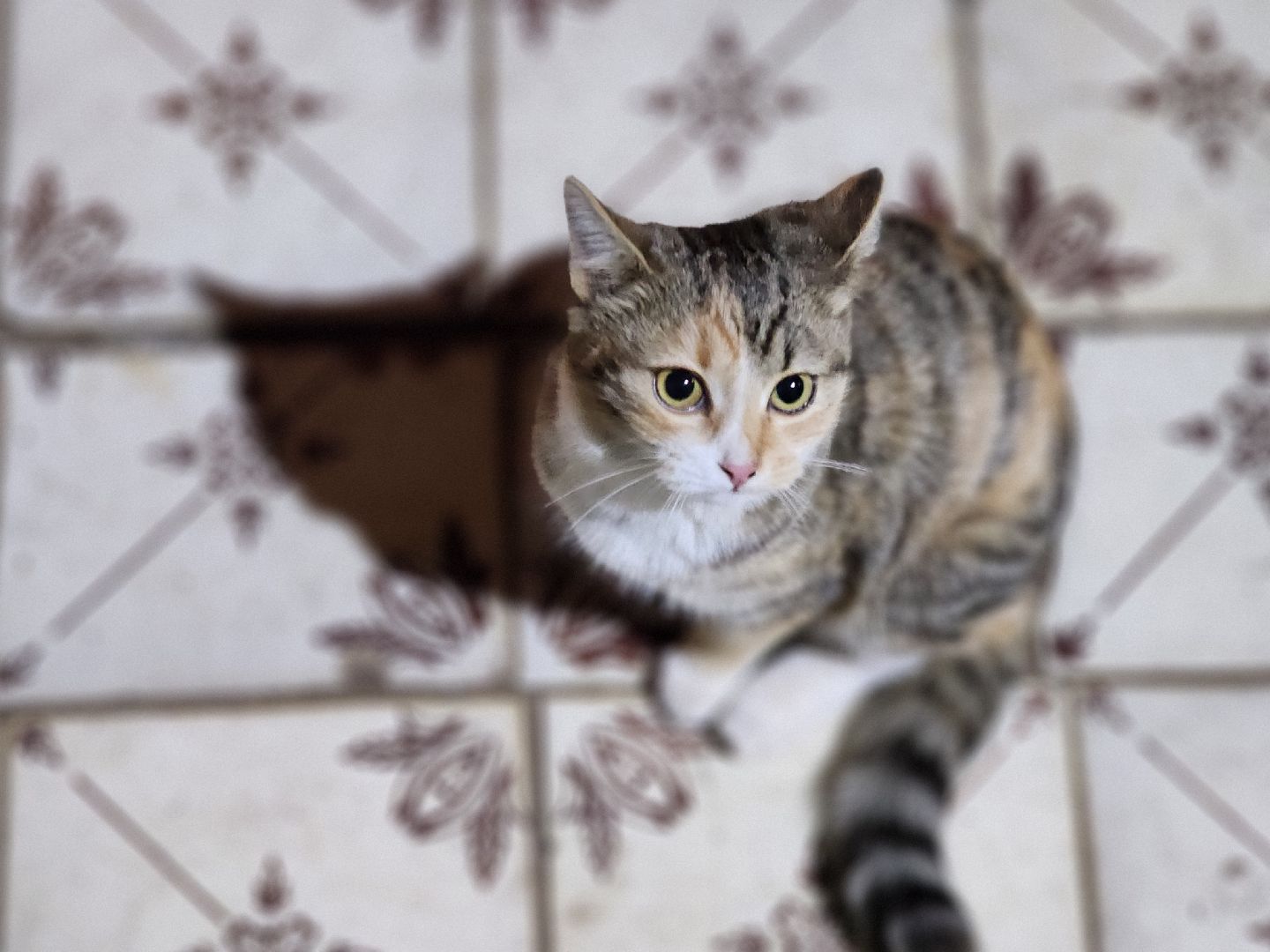 ЧП, котельная, технологический инцидент, электроугли, богородский городской округ,