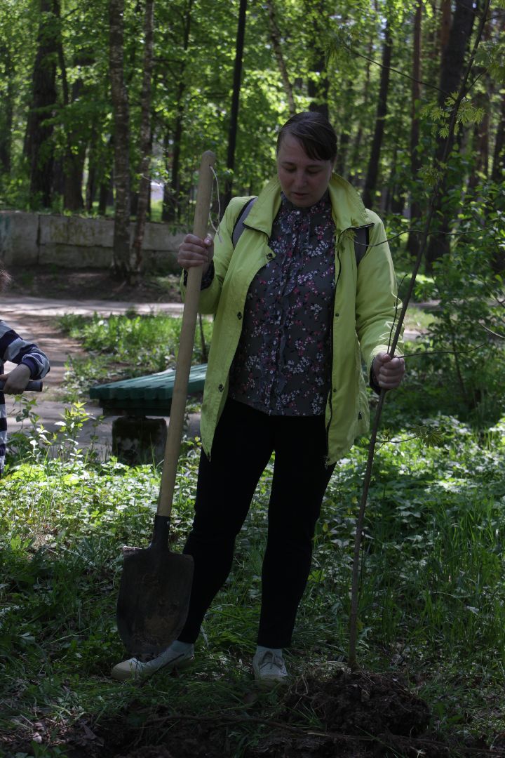 Лес победы, Протвино, экология, акция, озеленение