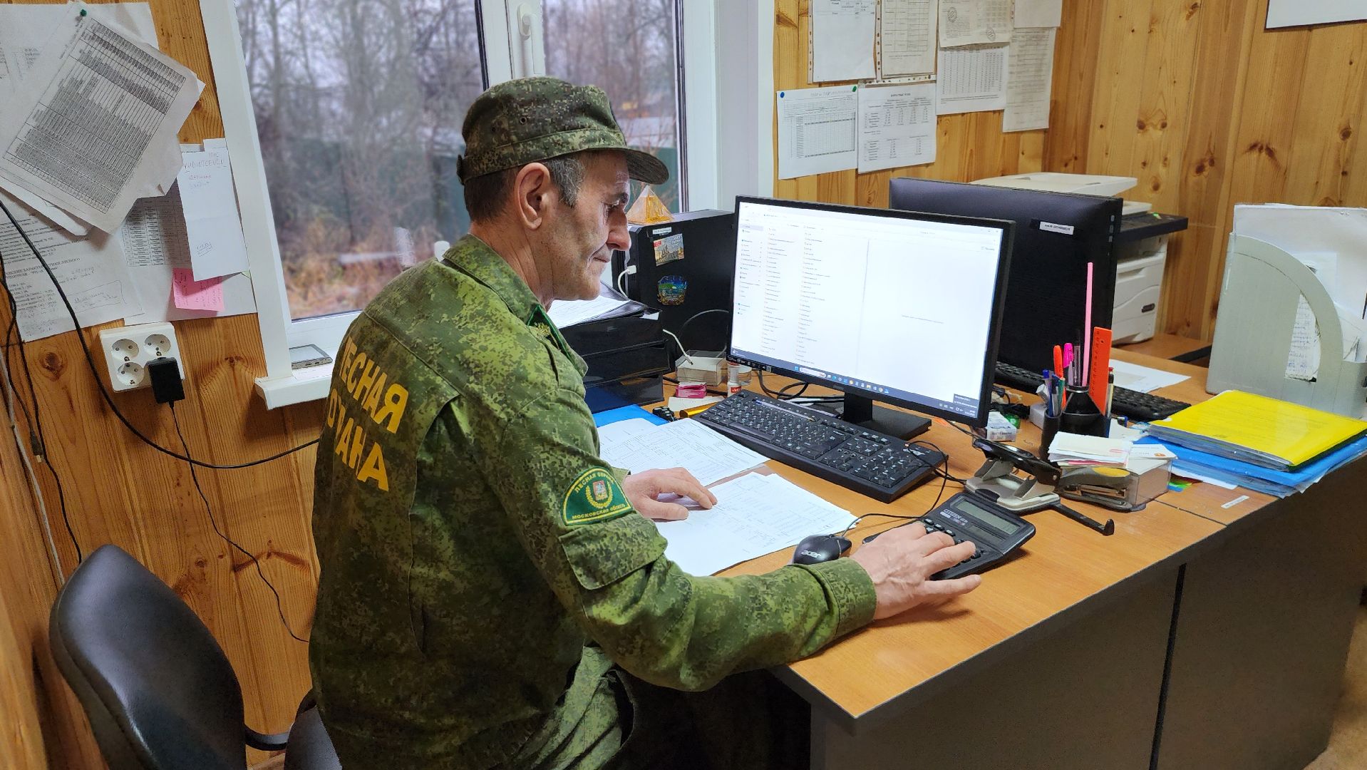 Руза, Мособллес, кремлевская елка,