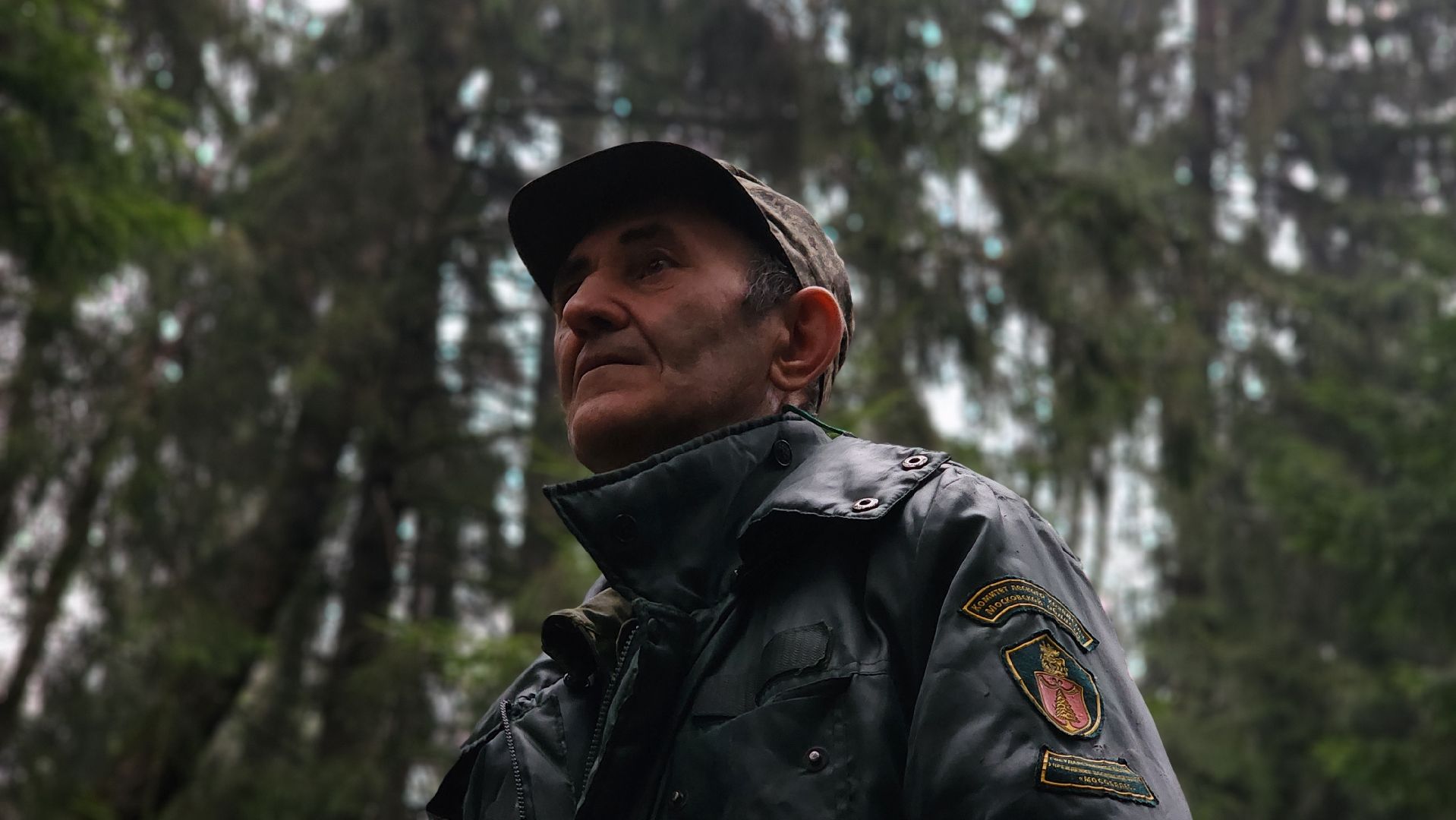 Руза, Мособллес, кремлевская елка,