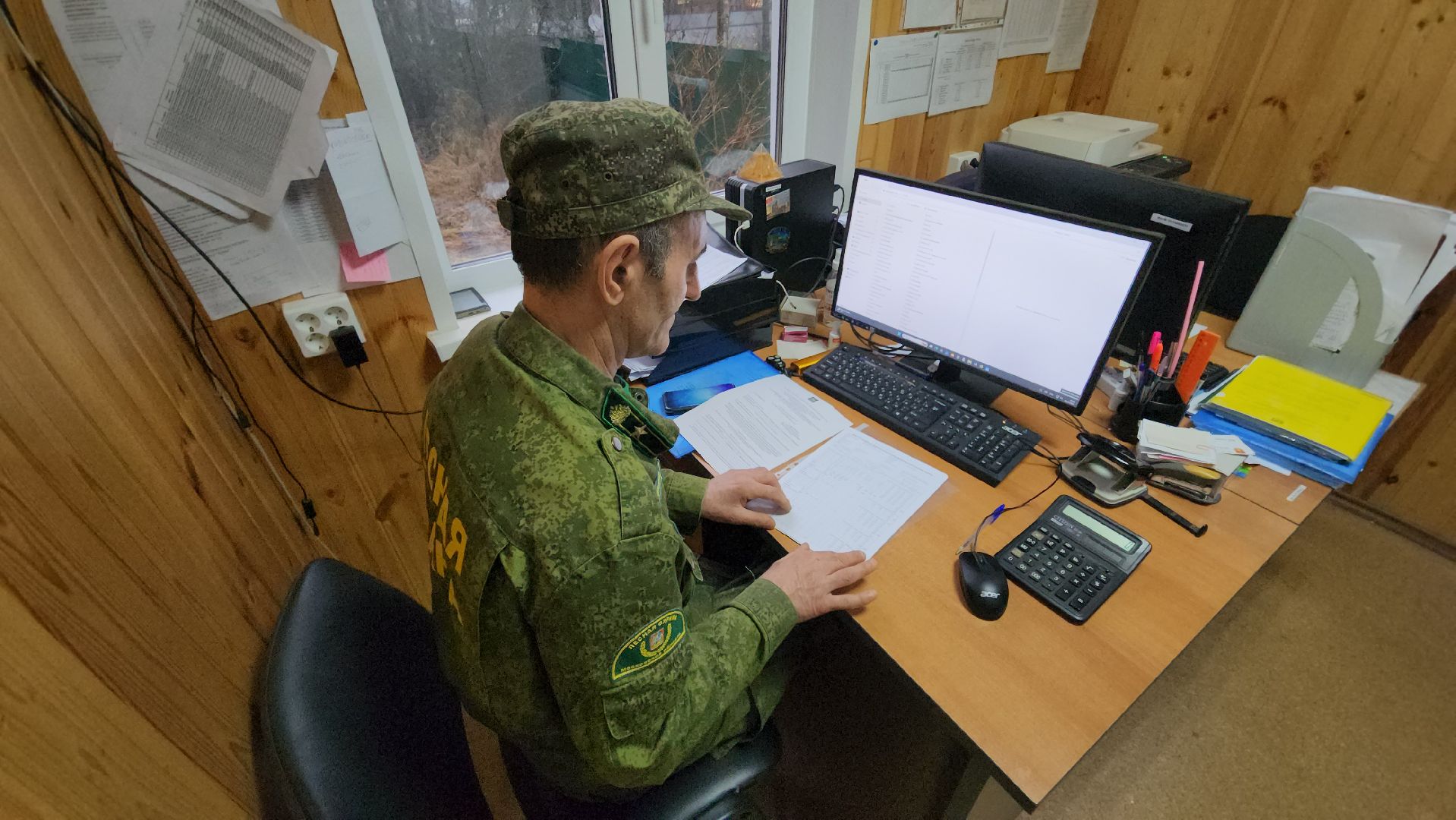 Руза, Мособллес, кремлевская елка,