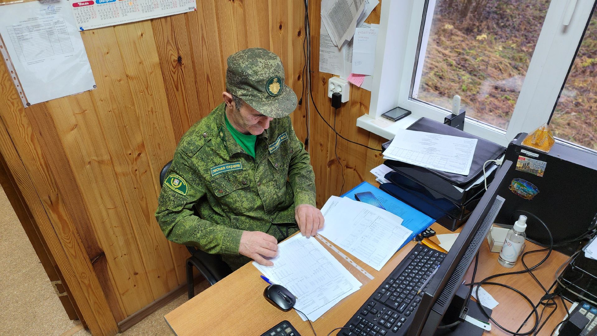 Руза, Мособллес, кремлевская елка,