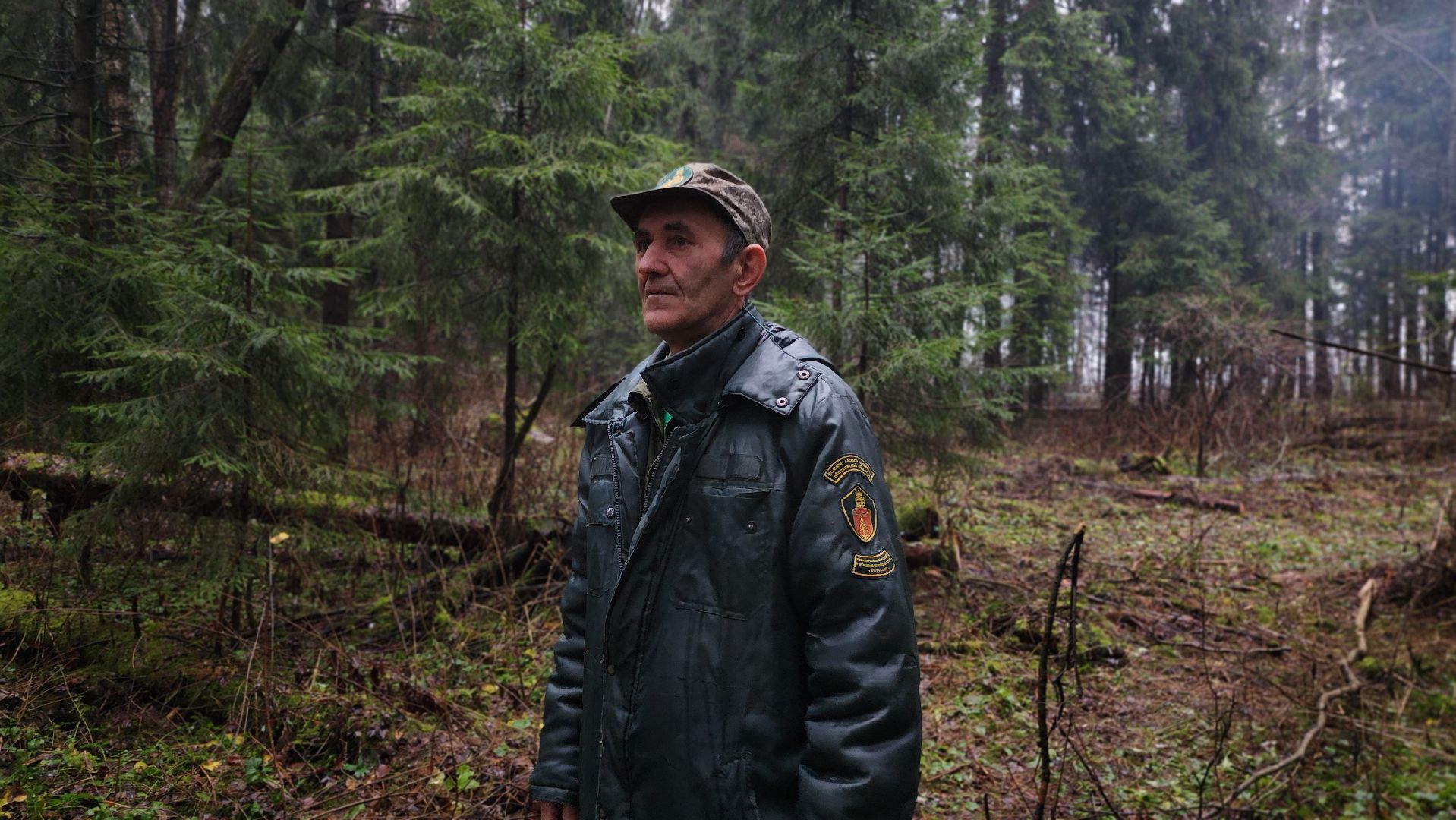 Руза, Мособллес, кремлевская елка,