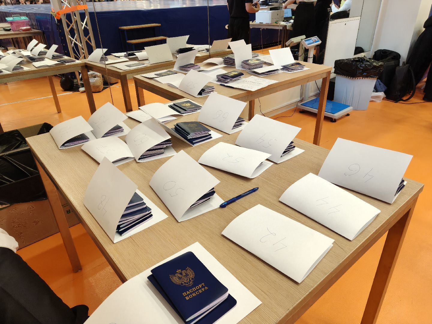 одинцовский городской округ, бокс, турнир памяти,