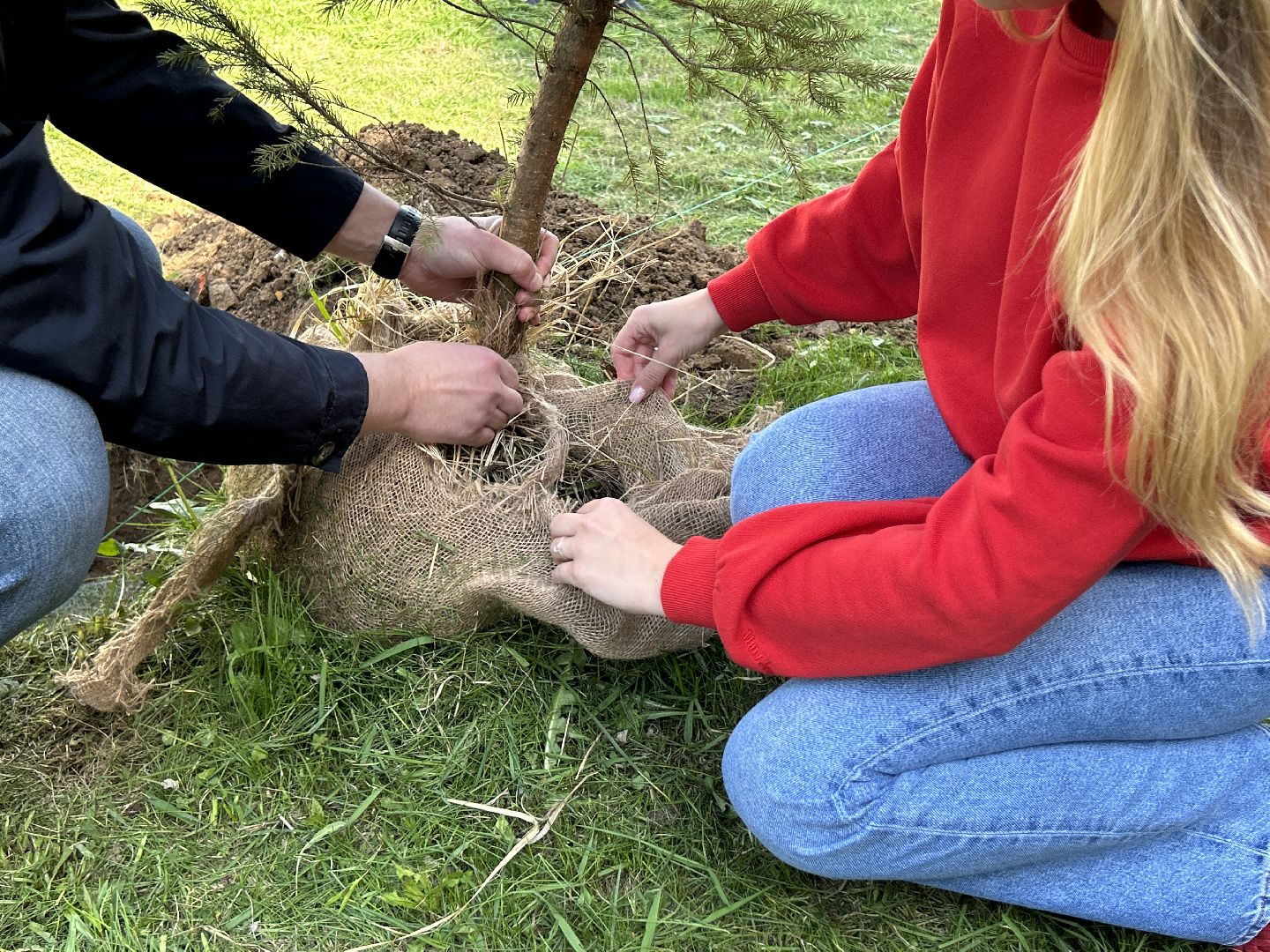 лес победы, акция, экология, Фрязино